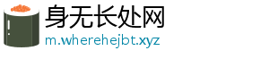 身无长处网